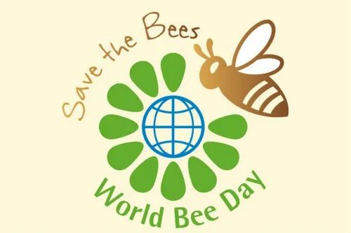 联合国粮食及农业组织总干事达席尔瓦2019年世界蜜蜂日致辞 | 英文巴士