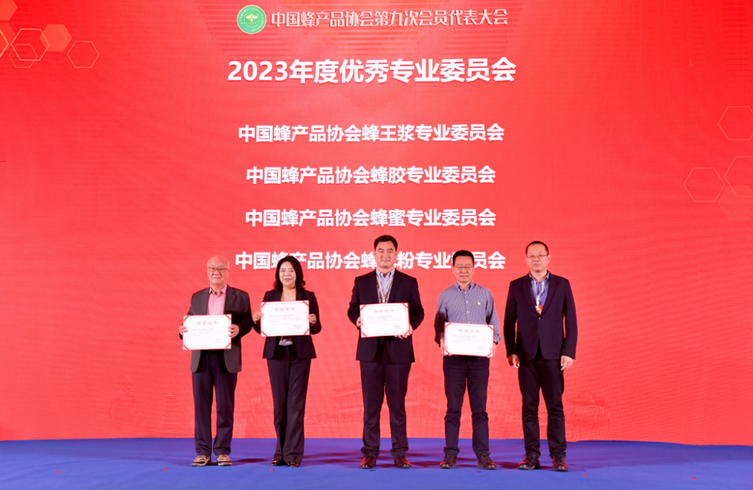 微信图片_20251211174848_491_201.png